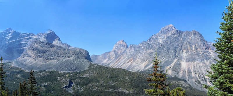 Ausblick von der Baumgrenze auf Chevron (l), Blackhorn (m) und Throne Mountain (r)